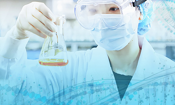 我們的（de）研發領域（yù）