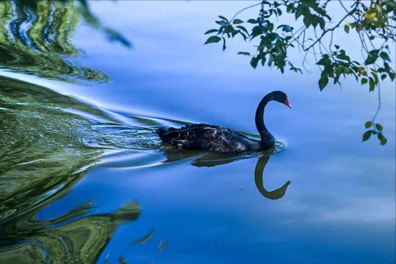 暖心工“匯”│“微光成炬 美在尋常（cháng）”係列展（zhǎn）播②